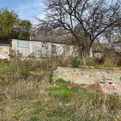 Купити будинок - Київська обл., Ходосівка с.. Продаж нерухомості - Обухівський, вторинний ринок і новобуд недорого, ціна до 120000$, оголошення №1865098 фото 15