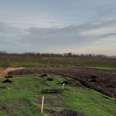 Купити ділянку - Київська обл.. Продаж нерухомості - Білоцерківський, вторинний ринок і новобуд недорого, ціна до 15900$, оголошення №1953302 фото 10