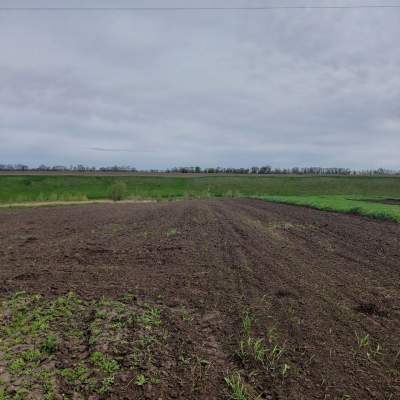 Купити ділянку - Київська обл.. Продаж нерухомості - Білоцерківський, вторинний ринок і новобуд недорого, ціна до 15900$, оголошення №1953302 фото 11