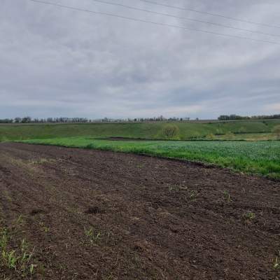 Купити ділянку - Київська обл.. Продаж нерухомості - Білоцерківський, вторинний ринок і новобуд недорого, ціна до 15900$, оголошення №1953302 фото 12