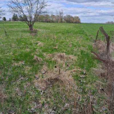 Купити ділянку - Київська обл., Пшенична, Мар'янівка с.. Продаж нерухомості - Васильківський, вторинний ринок і новобуд недорого, ціна до 15000$, оголошення №1962255 фото 11