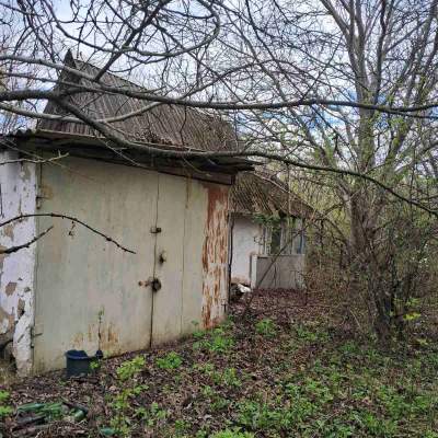 Купити ділянку - Київська обл., Пшенична, Мар'янівка с.. Продаж нерухомості - Васильківський, вторинний ринок і новобуд недорого, ціна до 15000$, оголошення №1962255 фото 12