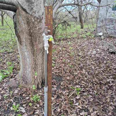 Купити ділянку - Київська обл., Пшенична, Мар'янівка с.. Продаж нерухомості - Васильківський, вторинний ринок і новобуд недорого, ціна до 15000$, оголошення №1962255 фото 14