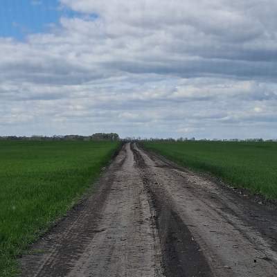 Купити ділянку - Київська обл., Пшенична, Мар'янівка с.. Продаж нерухомості - Васильківський, вторинний ринок і новобуд недорого, ціна до 15000$, оголошення №1962255 фото 25