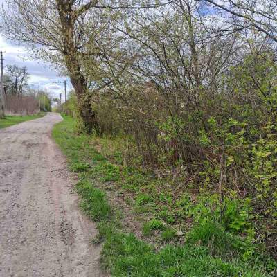 Купити ділянку - Київська обл., Пшенична, Мар'янівка с.. Продаж нерухомості - Васильківський, вторинний ринок і новобуд недорого, ціна до 15000$, оголошення №1962255 фото 6