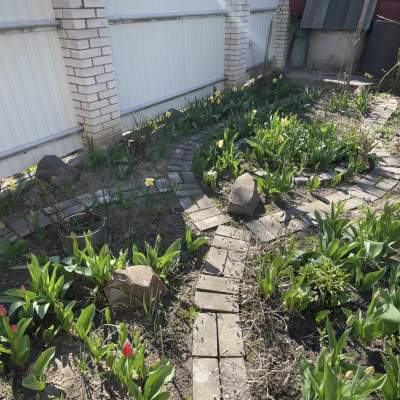 Купити будинок - Київська обл., Озера с.. Продаж нерухомості - Бучанський, вторинний ринок і новобуд недорого, ціна до 80000$, оголошення №1962823 фото 14