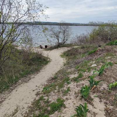 Купити ділянку - Київ, 1-ша Садова (Осокорки) вул., Осокорки. Продаж нерухомості - Дарницький район, вторинний ринок і новобуд недорого, ціна до 62000$, оголошення №1963554 фото 7