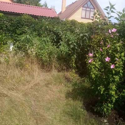 Купити будинок - Київська обл., Проців с.. Продаж нерухомості - Бориспільський, вторинний ринок і новобуд недорого, ціна до 25000$, оголошення №2024295 фото 8
